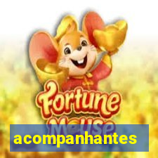 acompanhantes masculino porto velho